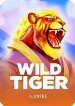 Wild Tiger at Spinchester Casino